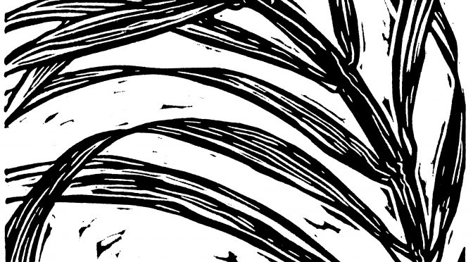 Liturgy Letter Newsletter – Palm Sunday 2018 (Year B)