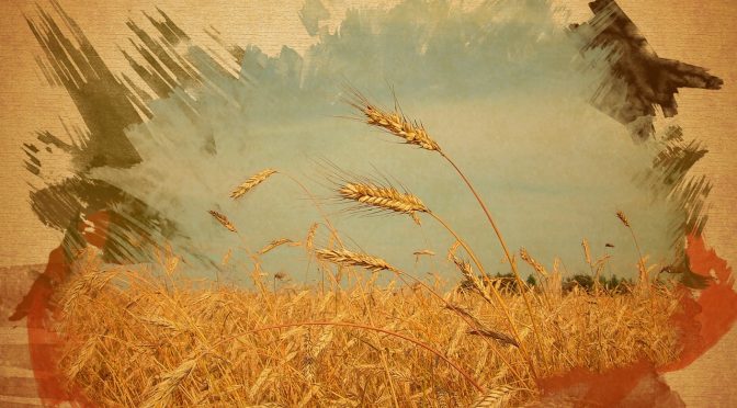 Liturgy Letter Newsletter – Fifth Sunday in Lent 2018 (Year B)