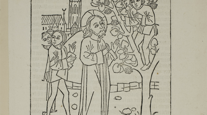 Liturgy Letter Newsletter – Twenty First Sunday After Pentecost 2019 (Year C)