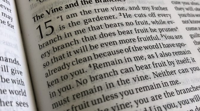 Liturgy Letter Newsletter – Fifth Sunday of Easter 2018 (Year B)